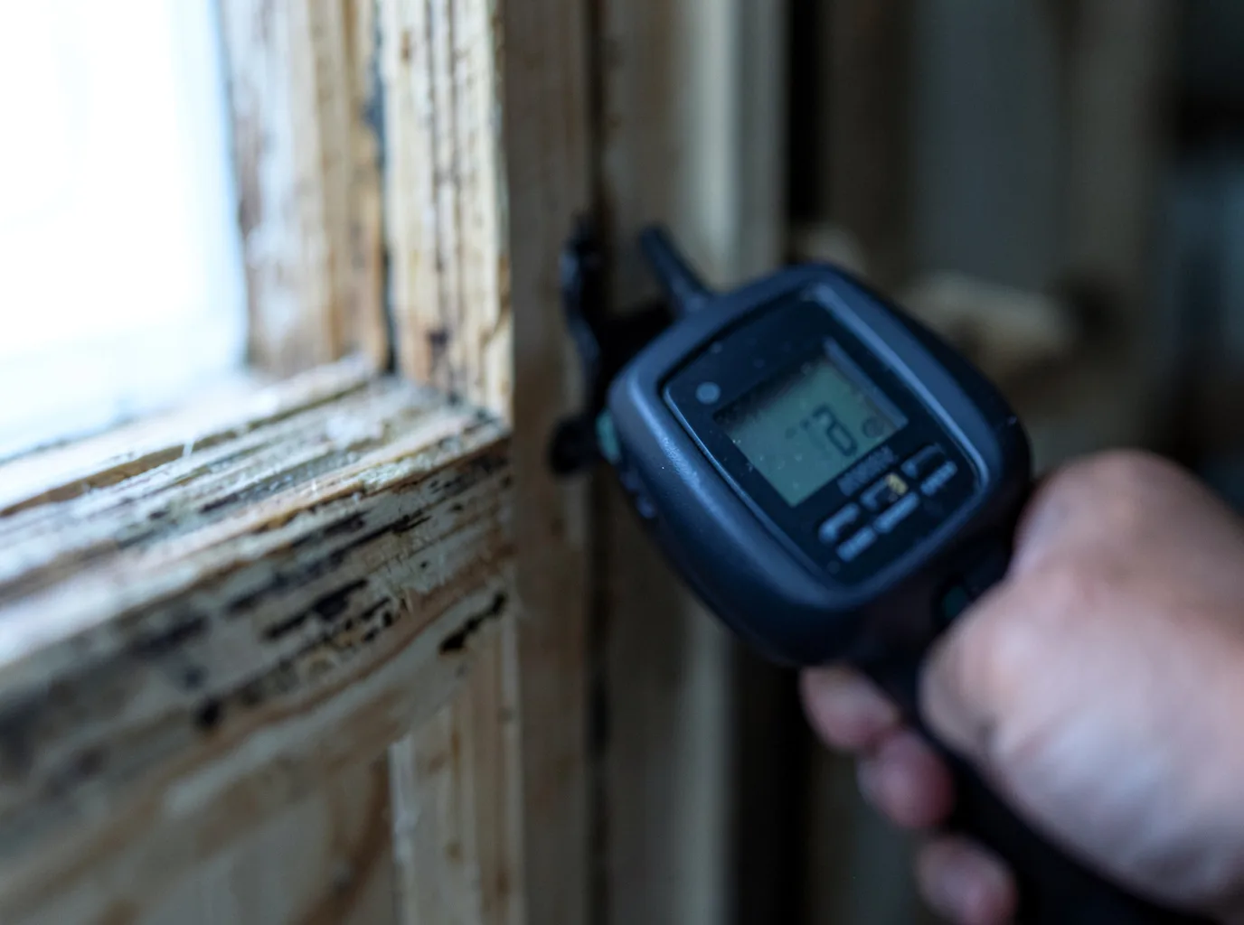 Moisture Inspection And Documentation in Succasunna, NJ
